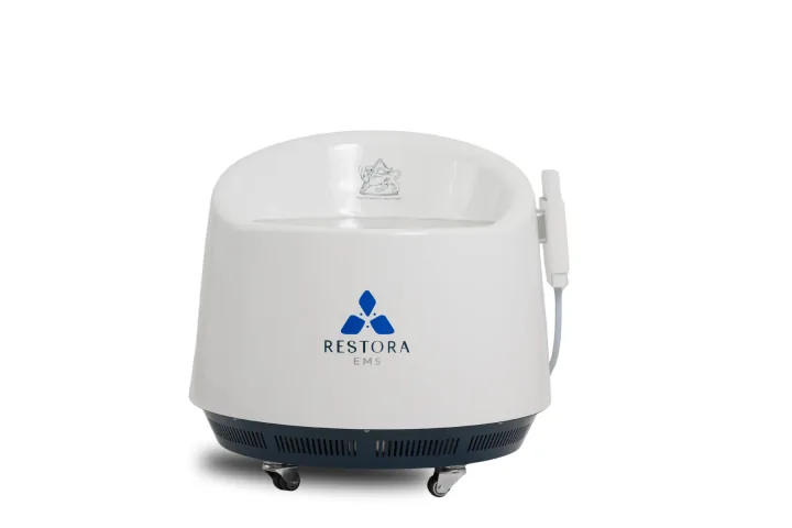ReStora EMS pelvic floor therapy chair